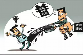 追讨债务第三方：专业解读与应对策略